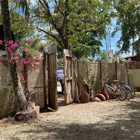 Hotel Selva Bacalar - Free Bike Rental Exterior photo