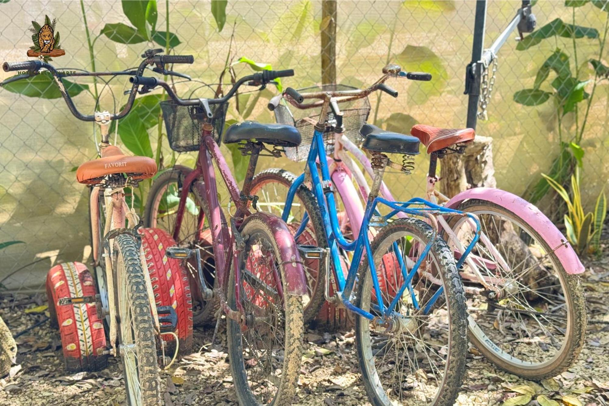 Hotel Selva Bacalar - Free Bike Rental Exterior photo