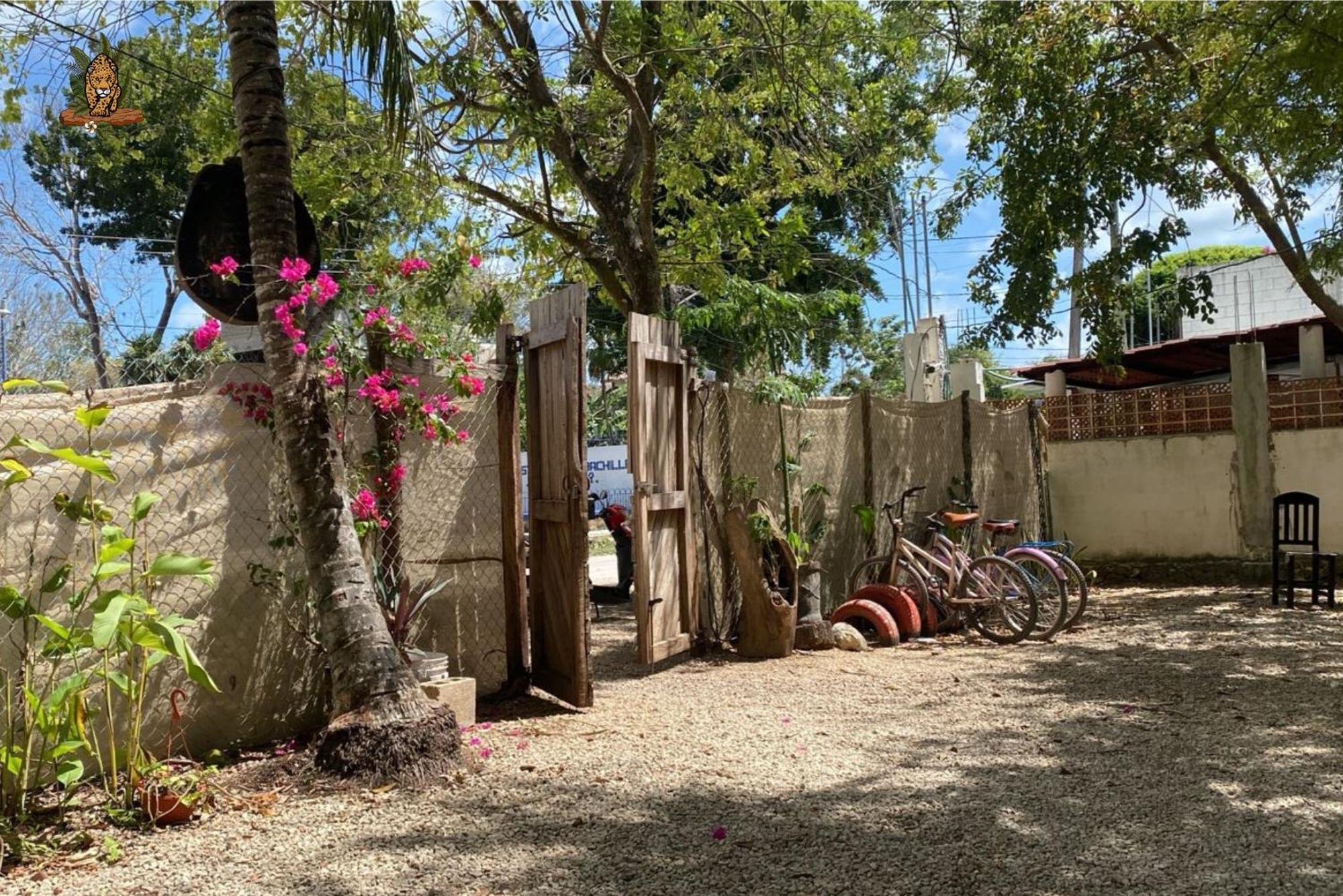 Hotel Selva Bacalar - Free Bike Rental Exterior photo